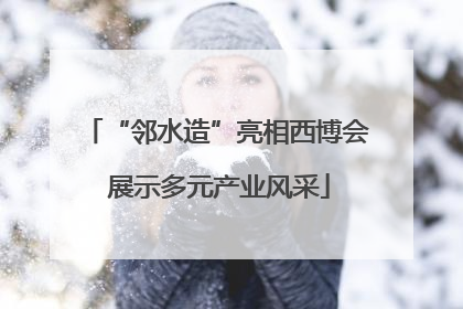 “邻水造”亮相西博会 展示多元产业风采