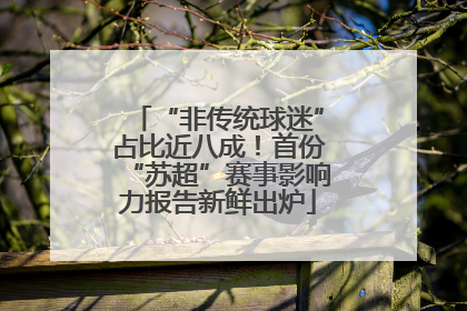 “非传统球迷”占比近八成！首份“苏超”赛事影响力报告新鲜出炉