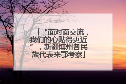 “面对面交流，我们的心贴得更近”，新疆博州各民族代表来鄂考察