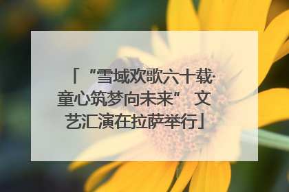 “雪域欢歌六十载·童心筑梦向未来” 文艺汇演在拉萨举行