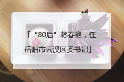 “80后”蒋春艳，任岳阳市云溪区委书记