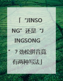 “JINSONG”还是“JINGSONG”？劲松拼音竟有两种写法