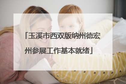 玉溪市西双版纳州德宏州参展工作基本就绪