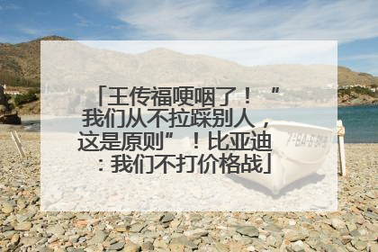 王传福哽咽了！“我们从不拉踩别人，这是原则”！比亚迪：我们不打价格战