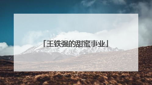 王铁强的甜蜜事业