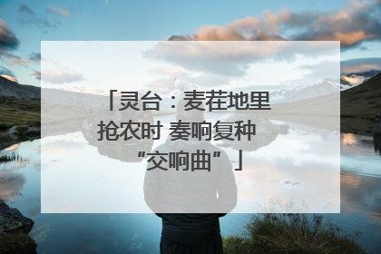 灵台：麦茬地里抢农时 奏响复种“交响曲”