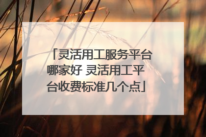 灵活用工服务平台哪家好 灵活用工平台收费标准几个点
