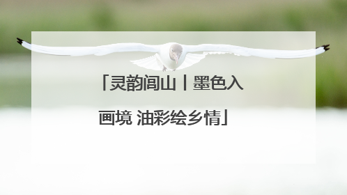 灵韵闾山丨墨色入画境 油彩绘乡情