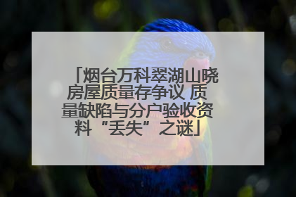 烟台万科翠湖山晓房屋质量存争议 质量缺陷与分户验收资料“丢失”之谜