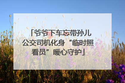爷爷下车忘带孙儿 公交司机化身“临时照看员”暖心守护