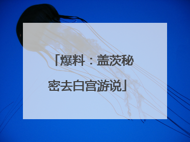 爆料：盖茨秘密去白宫游说