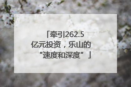 牵引262.5亿元投资，乐山的“速度和深度”