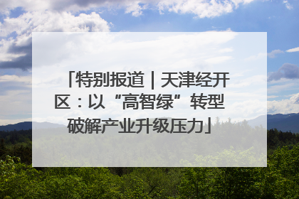 特别报道｜天津经开区：以“高智绿”转型破解产业升级压力