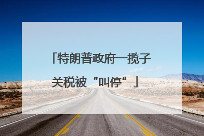 特朗普政府一揽子关税被“叫停”