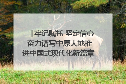 牢记嘱托 坚定信心 奋力谱写中原大地推进中国式现代化新篇章（六）河南绘就“行走河南·读懂中国”新画卷丨牢记嘱托谱新篇
