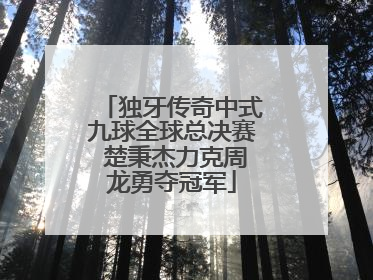 独牙传奇中式九球全球总决赛 楚秉杰力克周龙勇夺冠军