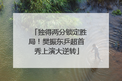 独得两分锁定胜局！樊振东乒超首秀上演大逆转