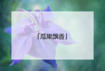 瓜果飘香