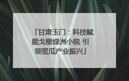 甘肃玉门：科技赋能戈壁绿洲小院 引领蜜瓜产业振兴
