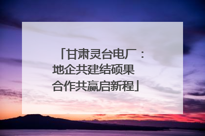 甘肃灵台电厂：地企共建结硕果 合作共赢启新程