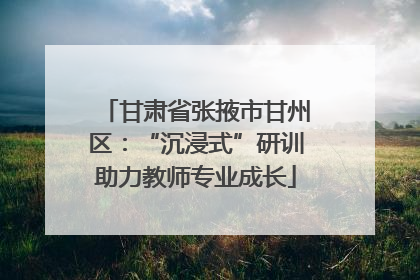 甘肃省张掖市甘州区：“沉浸式”研训助力教师专业成长