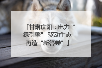 甘肃庆阳：电力“绿引擎” 驱动生态再造“新答卷”