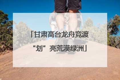 甘肃高台龙舟竞渡“划”亮荒漠绿洲