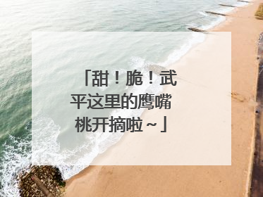 甜！脆！武平这里的鹰嘴桃开摘啦～