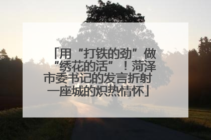 用“打铁的劲”做“绣花的活”！菏泽市委书记的发言折射一座城的炽热情怀