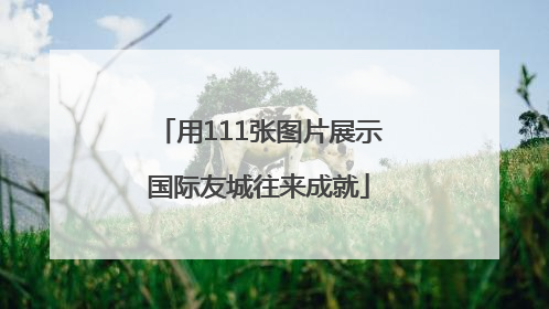 用111张图片展示国际友城往来成就