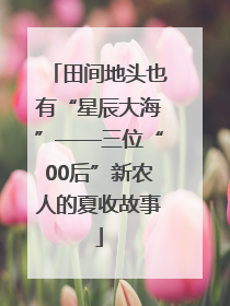 田间地头也有“星辰大海”——三位“00后”新农人的夏收故事