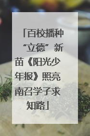 百校播种“立德”新苗《阳光少年报》照亮南召学子求知路