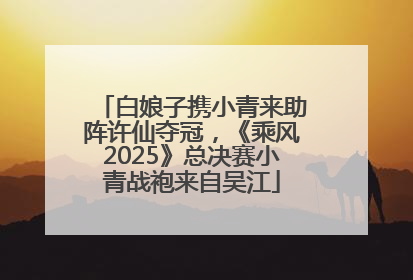 白娘子携小青来助阵许仙夺冠，《乘风2025》总决赛小青战袍来自吴江