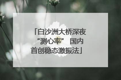 白沙洲大桥深夜“测心率” 国内首创稳态激振法