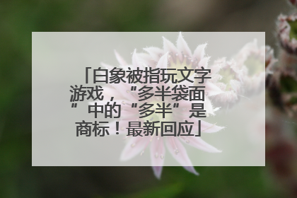 白象被指玩文字游戏，“多半袋面”中的“多半”是商标！最新回应