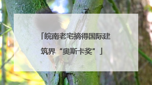 皖南老宅摘得国际建筑界“奥斯卡奖”