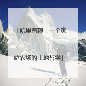 皖里有粮｜一个家庭农场的土地哲学