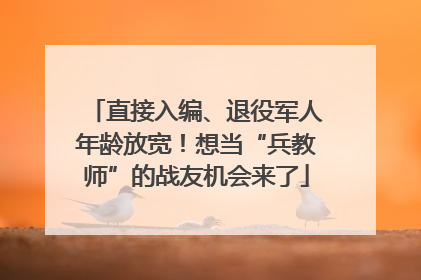 直接入编、退役军人年龄放宽！想当“兵教师”的战友机会来了