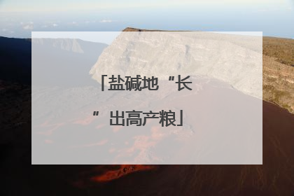 盐碱地“长”出高产粮