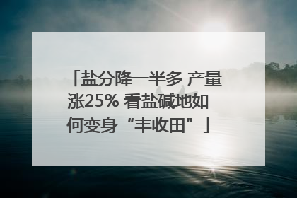 盐分降一半多 产量涨25% 看盐碱地如何变身“丰收田”