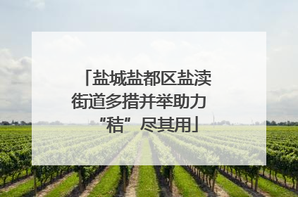 盐城盐都区盐渎街道多措并举助力“秸”尽其用