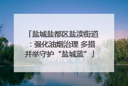 盐城盐都区盐渎街道：强化油烟治理 多措并举守护“盐城蓝”