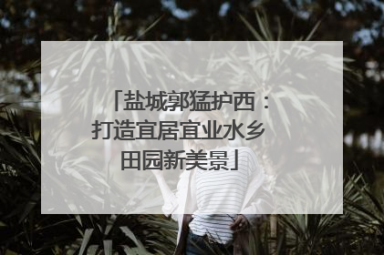 盐城郭猛护西：打造宜居宜业水乡田园新美景