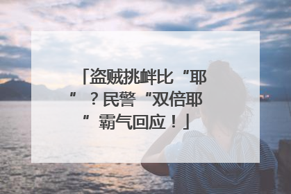 盗贼挑衅比“耶”？民警“双倍耶”霸气回应！