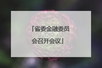 省委金融委员会召开会议