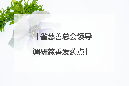 省慈善总会领导调研慈善发药点