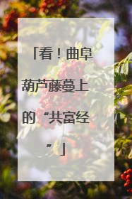 看！曲阜葫芦藤蔓上的“共富经”