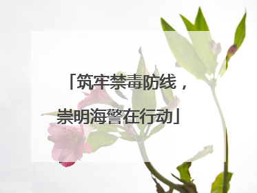筑牢禁毒防线，崇明海警在行动