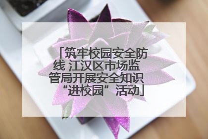 筑牢校园安全防线 江汉区市场监管局开展安全知识“进校园”活动