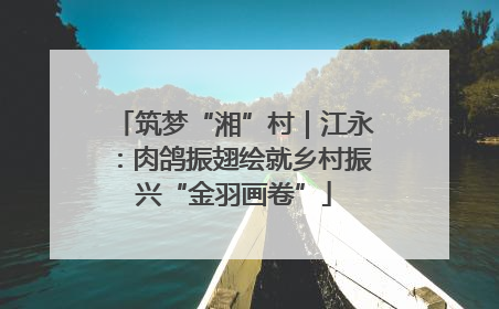 筑梦“湘”村｜江永：肉鸽振翅绘就乡村振兴“金羽画卷”